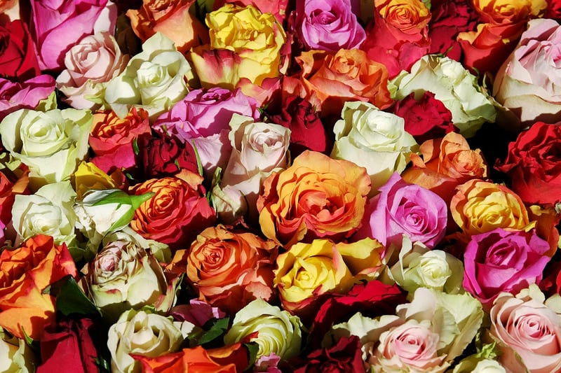 Home Floral Design